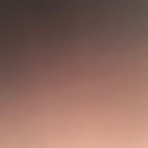 Meet your Posher, Zoë